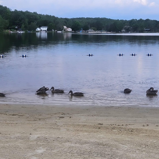 11 Cheilo Path, Pocono Lake, PA 18347