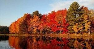 11 Cheilo Path, Pocono Lake, PA 18347