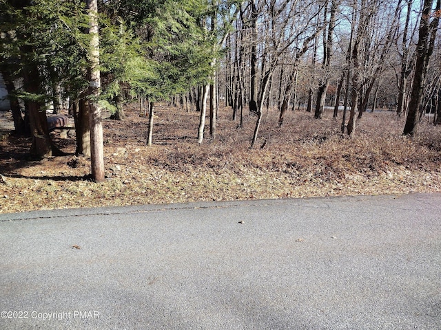 11 Cheilo Path, Pocono Lake, PA 18347