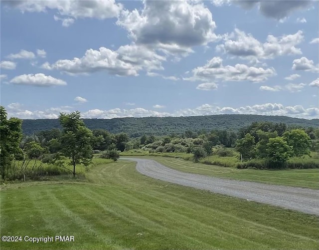 view of property's community with a yard