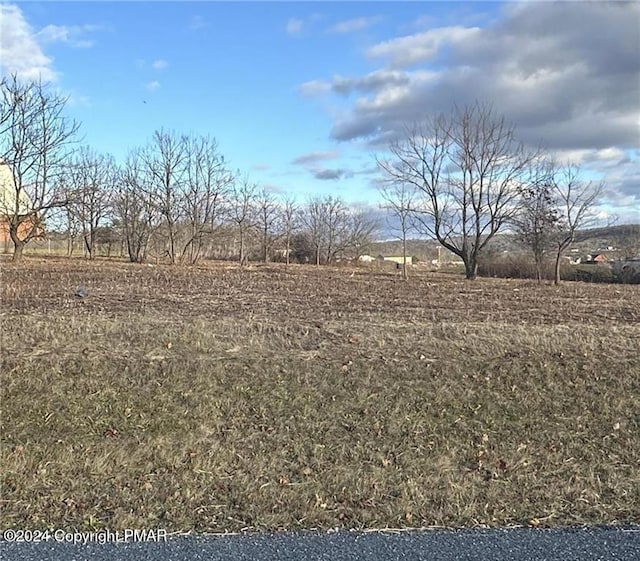 view of yard with a rural view