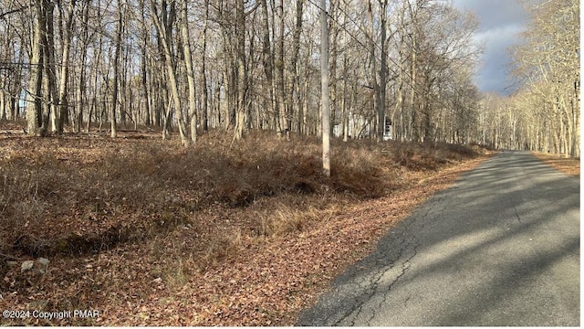 Listing photo 3 for LOT288 Doe Loop, Bushkill PA 18324