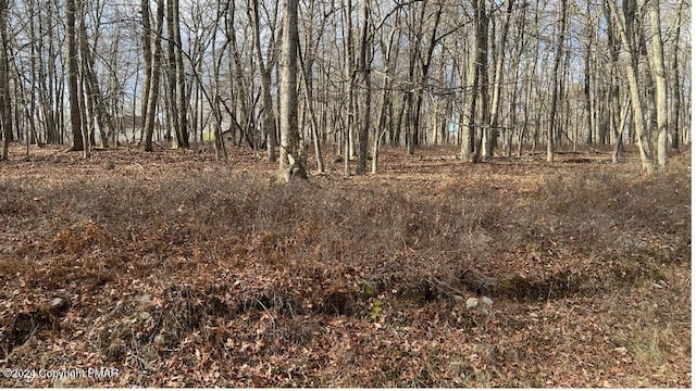 LOT288 Doe Loop, Bushkill PA, 18324 land for sale