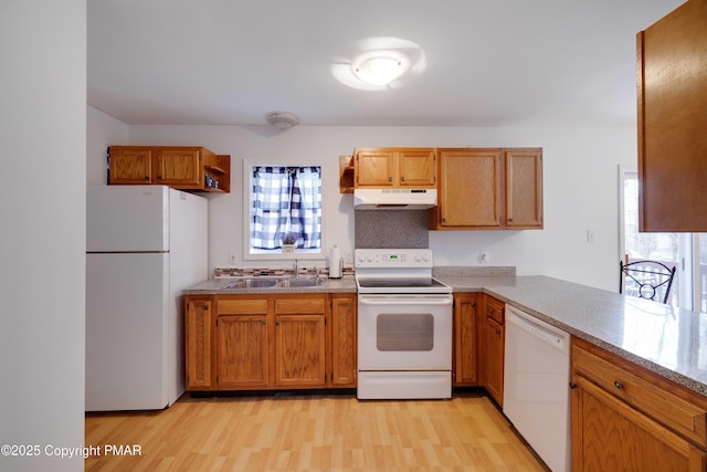 kitchen with white appliances, a healthy amount of sunlight, sink, and light hardwood / wood-style flooring