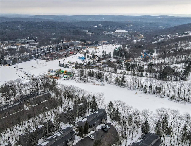 view of snowy aerial view