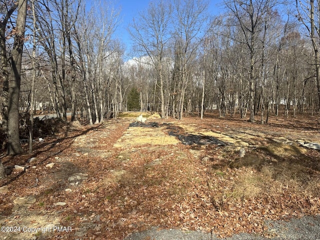 Sycamore Cir, Albrightsville PA, 18210 land for sale