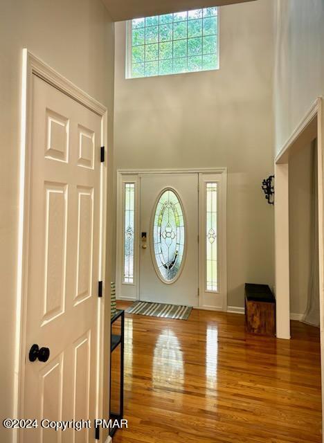 foyer with a towering ceiling and wood finished floors