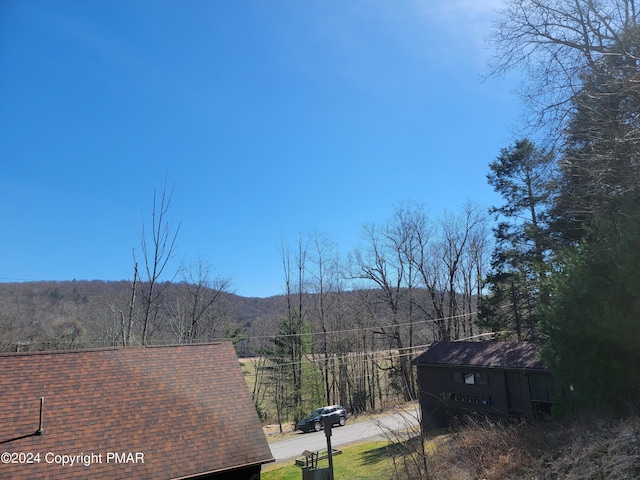 view of mountain feature with a wooded view