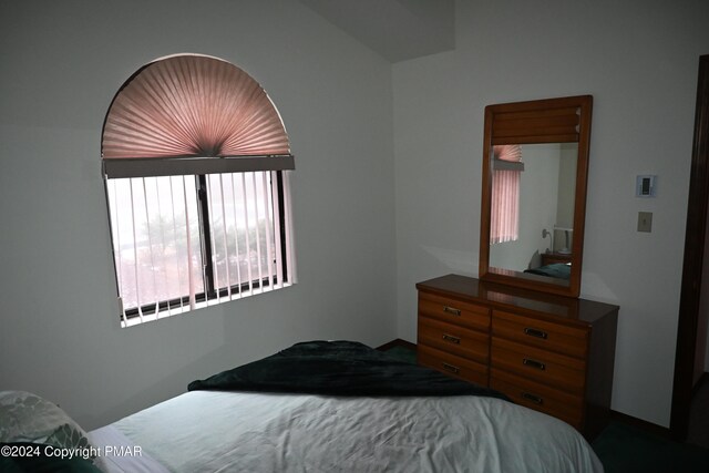101 Withywindle Way, Tamiment, PA 18371 - view of bedroom
