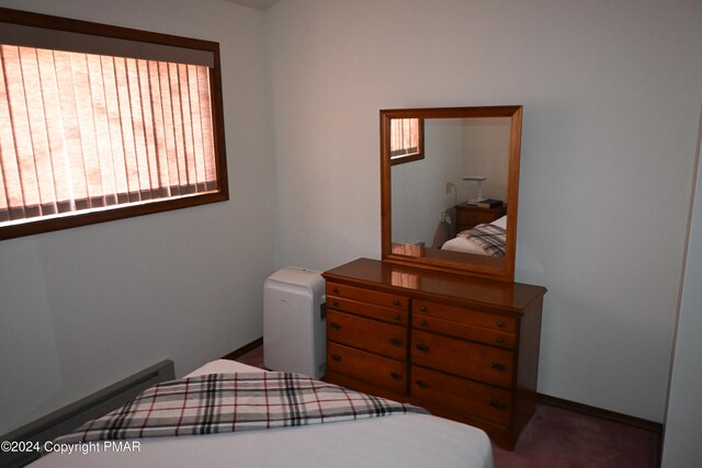 101 Withywindle Way, Tamiment, PA 18371 - bedroom with multiple windows