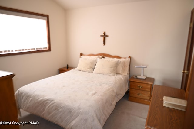 101 Withywindle Way, Tamiment, PA 18371 - view of carpeted bedroom