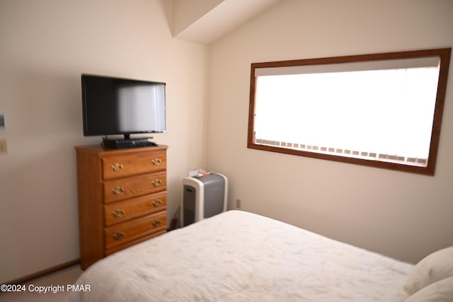 101 Withywindle Way, Tamiment, PA 18371 - bedroom with carpet floors and lofted ceiling
