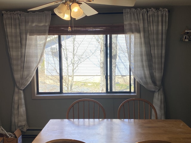 dining room with a ceiling fan and a wealth of natural light