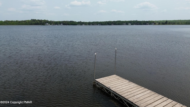 view of dock with a water view