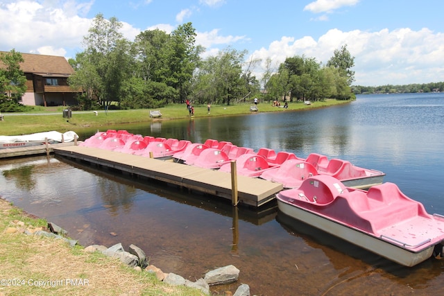 dock area with a water view