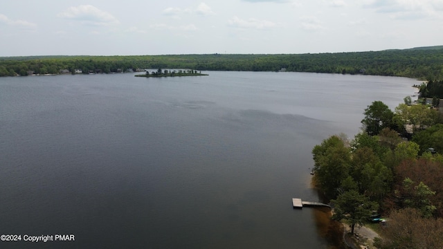 property view of water with a view of trees