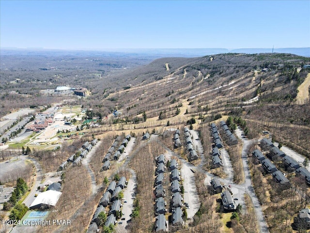 drone / aerial view