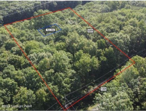 Pin Oak, Jim Thorpe, PA 18229