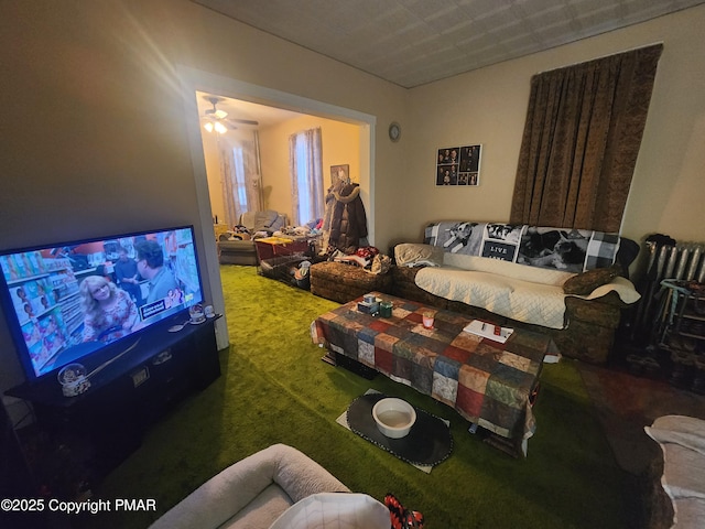 view of carpeted living area