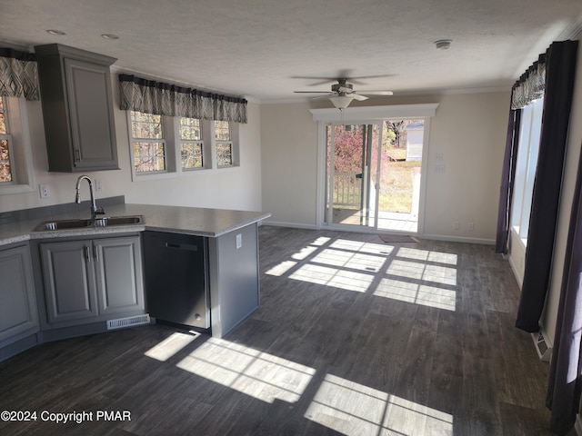 kitchen featuring dark wood-type flooring, a ceiling fan, a sink, a peninsula, and dishwashing machine