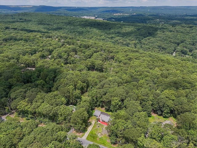 250 Sunrise Loop, Henryville, PA 18332 - bird's eye view of a forest