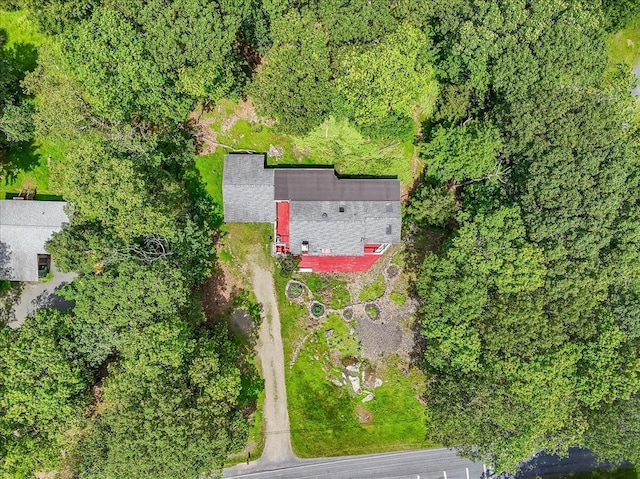 250 Sunrise Loop, Henryville, PA 18332 - aerial view of property and surrounding area