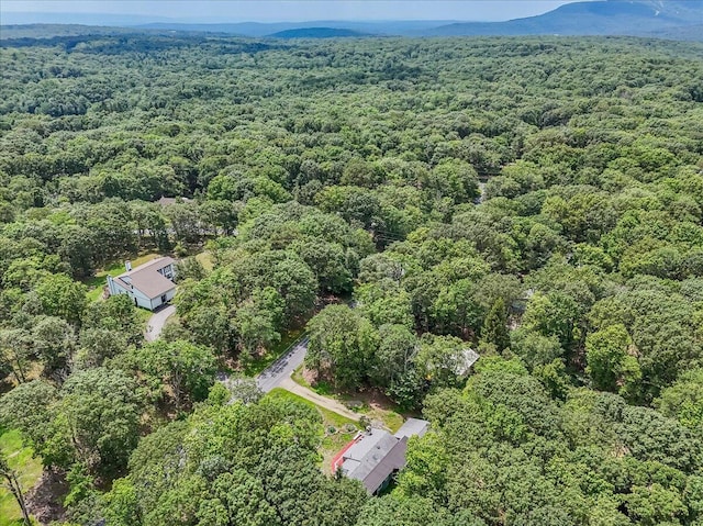 250 Sunrise Loop, Henryville, PA 18332 - aerial view of a forest