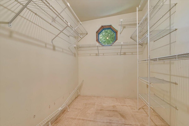 250 Sunrise Loop, Henryville, PA 18332 - spacious closet featuring carpet floors