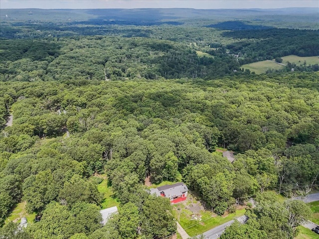 250 Sunrise Loop, Henryville, PA 18332 - bird's eye view of a forest