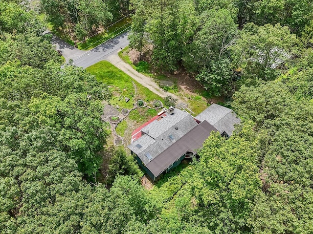250 Sunrise Loop, Henryville, PA 18332 - drone / aerial view