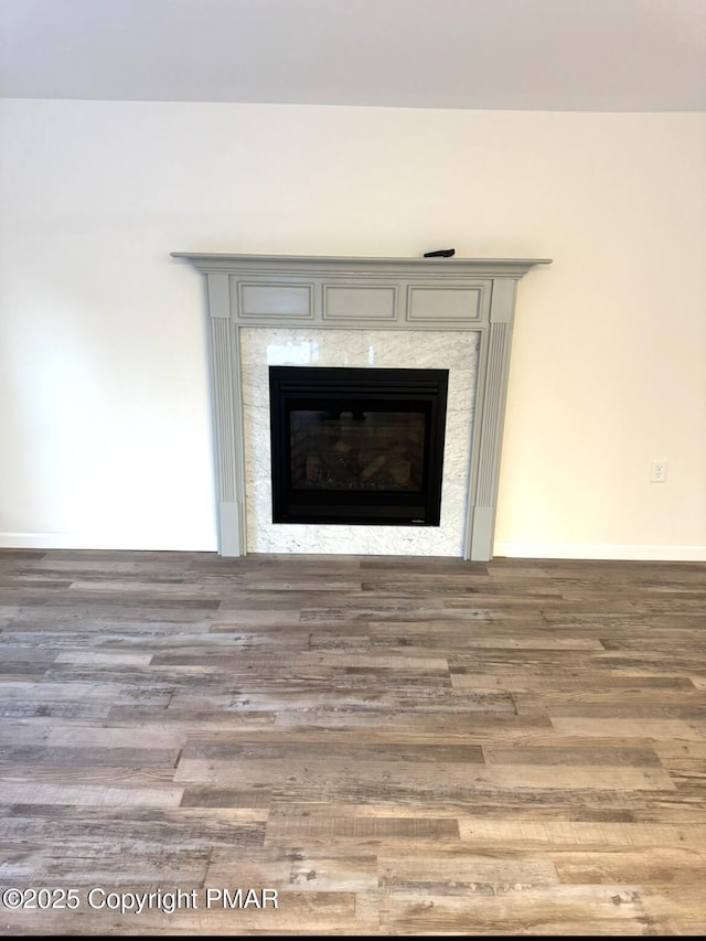 room details with a premium fireplace, wood finished floors, and baseboards