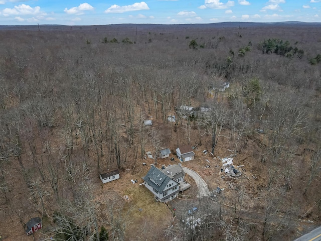 141 Old River Rd, Thornhurst, PA 18424 - bird's eye view