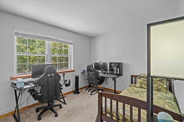 148 Squirrelwood Ct, Effort, PA 18330 - photo 38
