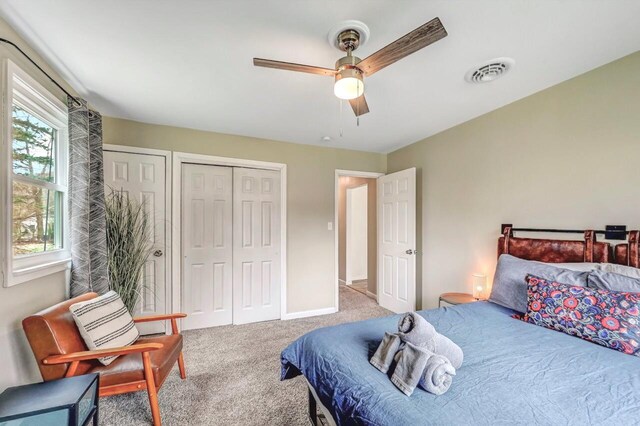 134 Altemose Rd, Pocono Lake, PA 18347 - carpeted bedroom with two closets, a ceiling fan, and visible vents