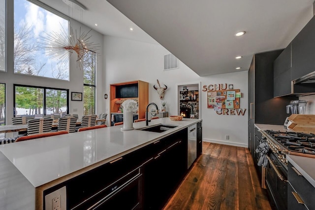 kitchen featuring dark cabinets, a sink, dark wood-type flooring, and a kitchen island with sink