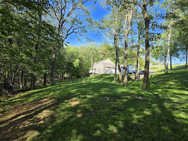 1277 Cherry Hill Rd, Palmerton, PA 18071 - view of green lawn featuring a wooded view