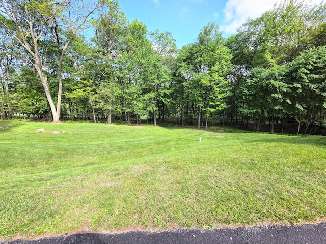 1277 Cherry Hill Rd, Palmerton, PA 18071 - view of grassy yard