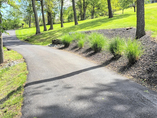 1277 Cherry Hill Rd, Palmerton, PA 18071 - view of property's community featuring a lawn