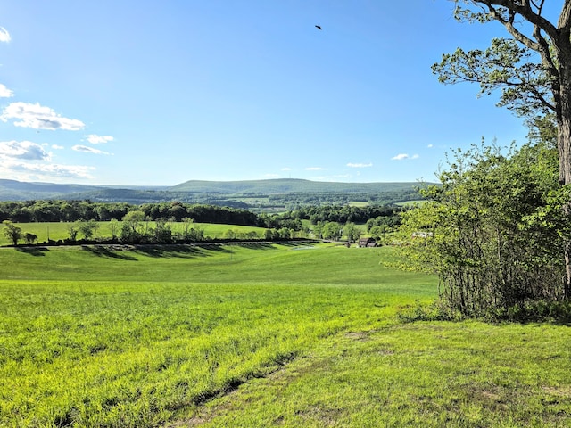 1277 Cherry Hill Rd, Palmerton, PA 18071 - mountain view