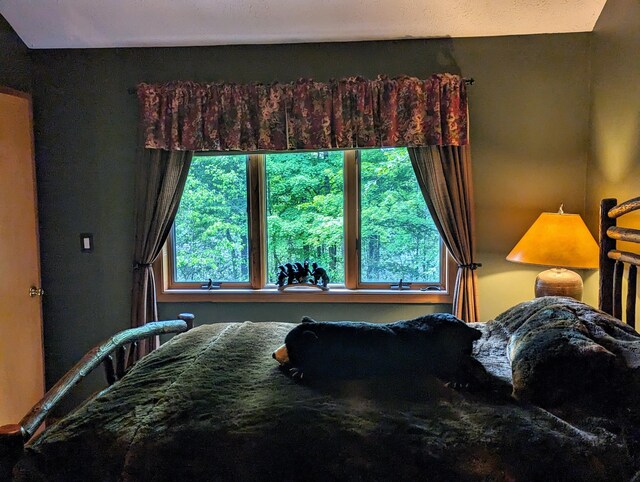 33 Sunset Dr, Clifton Township, PA 18424 - photo 25