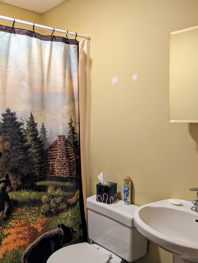 33 Sunset Dr, Clifton Township, PA 18424 - photo 32