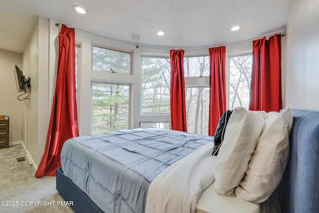 123 Shannon Ct, Bushkill, PA 18324 - carpeted bedroom with multiple windows and recessed lighting