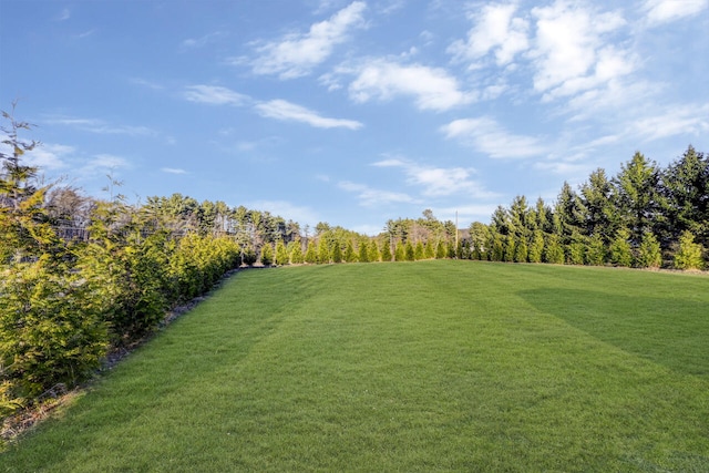 374 Packer Dr, Weatherly, PA 18255 - view of yard