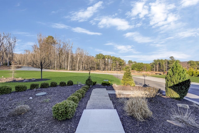 374 Packer Dr, Weatherly, PA 18255 - view of home's community featuring a lawn