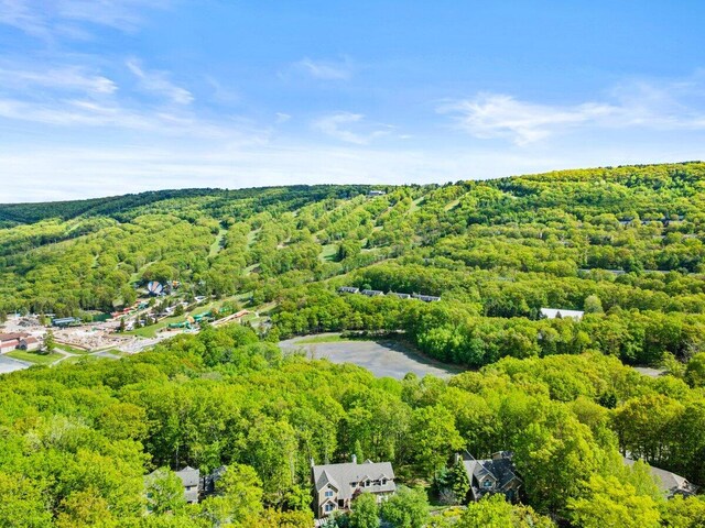 338 Poplar Ct, Tannersville, PA 18372 - photo 6