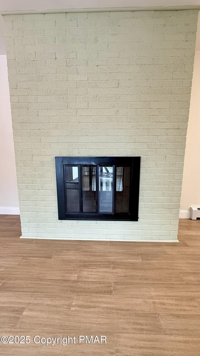 details featuring wood-type flooring, a fireplace, and baseboard heating