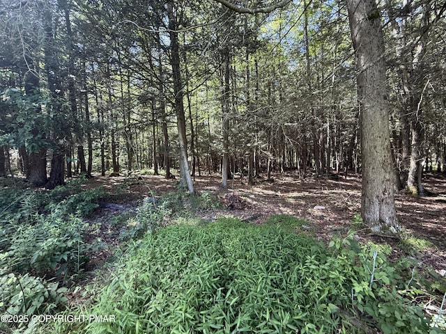 105 Forks Bridge Rd, Newfoundland, PA 18445 - photo 8