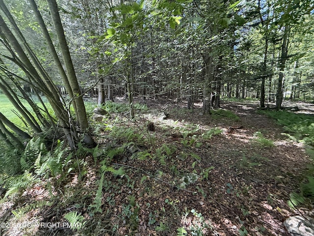 105 Forks Bridge Rd, Newfoundland, PA 18445 - photo 29