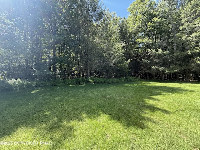 105 Forks Bridge Rd, Newfoundland, PA 18445 - photo 25