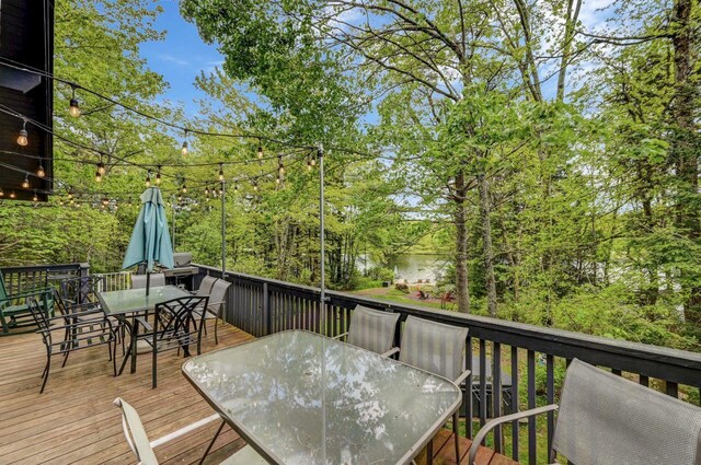6206 Lakeview Dr, Pocono Pines, PA 18350 - photo 70